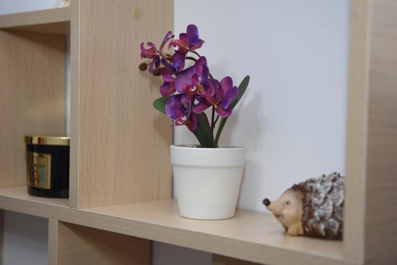 1St Apartment Nehoiu Kültér fotó